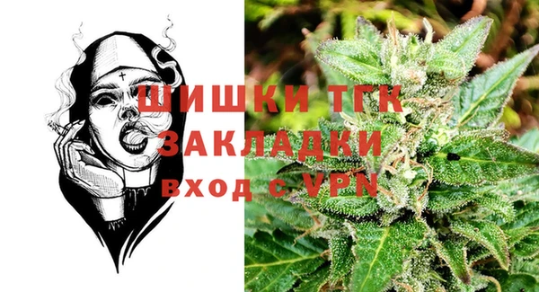 ешки Бородино