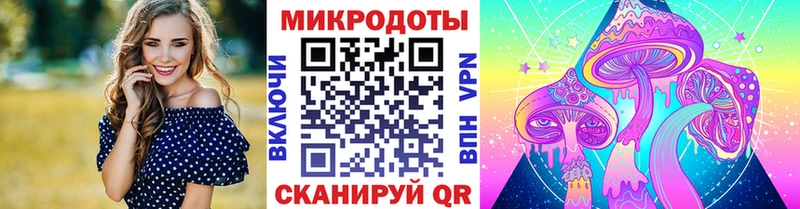 сколько стоит  площадка какой сайт  Псилоцибиновые грибы прущие грибы  Карачев 